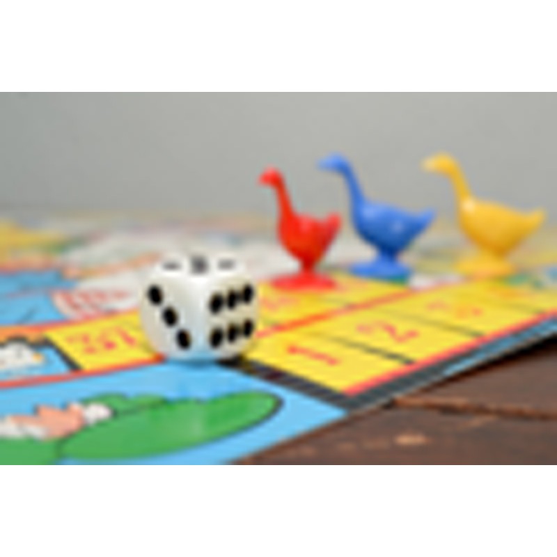 goose board game