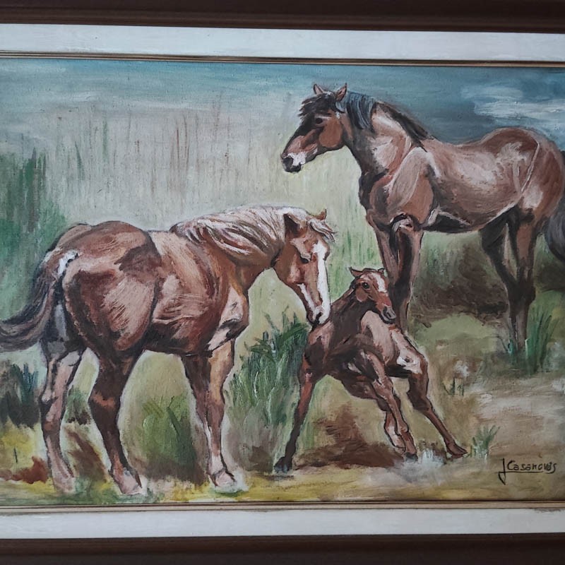 Pair of horses and breeding